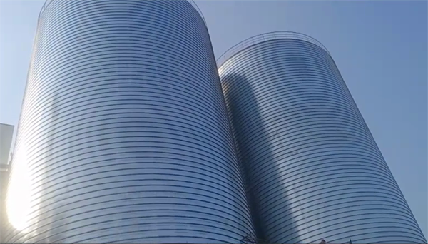 玉门2座混凝土高架卷板仓